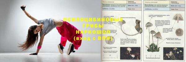 Альфа ПВП Алексеевка