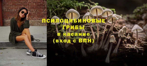 соль курить ск Алзамай
