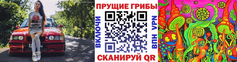 Галлюциногенные грибы мицелий  Узловая 